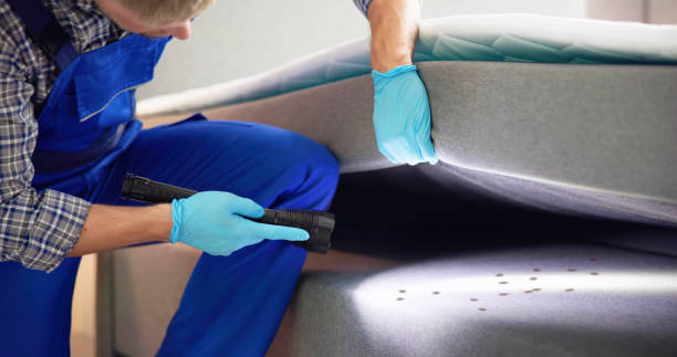 Best Mosquito Control Services  in Clarence Center, NY