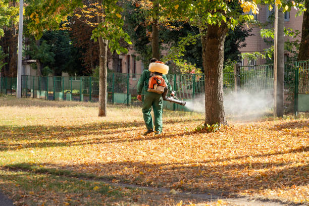 Trusted Clarence Center, NY Pest Control Experts